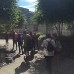 walking tour of SLU