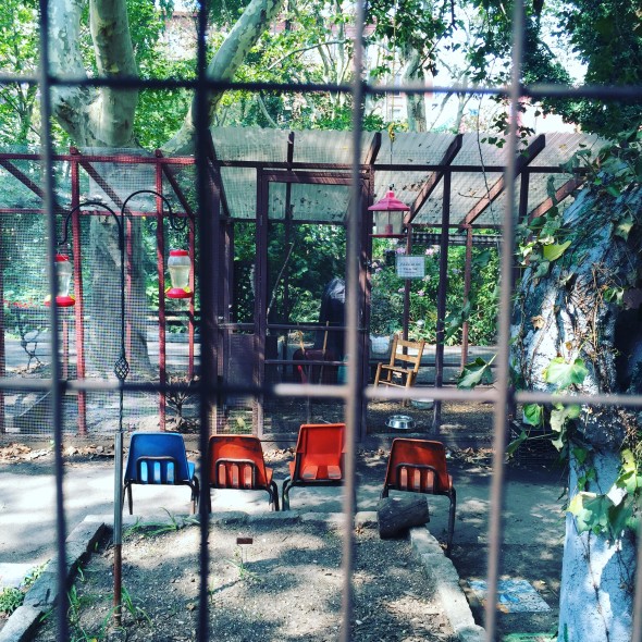 Week 2: The M'finda Kalunga garden - a community space created by neighbors on the Lower East Side when the neighborhood was blighted by neglect.